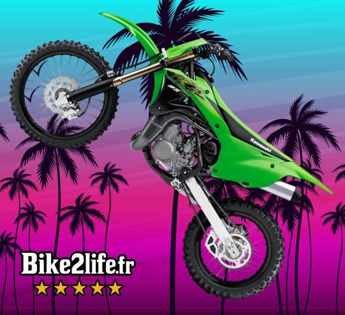 kit - carénage - déco - kawasaki - kx85 -kx - 85L - 100 - 2020 -plastiques -  style origine - bike -