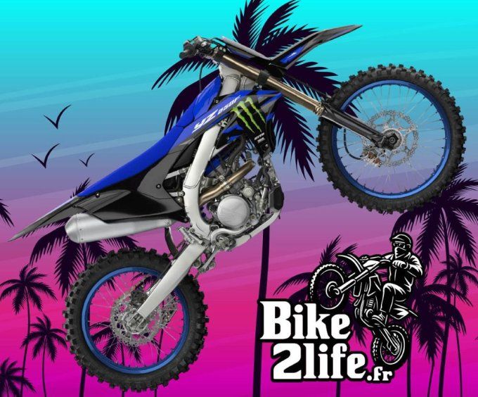 kit deco - plastiques - style origine - monster - edition -250yzf - 250 - yzf - yamaha - noir -  - 2