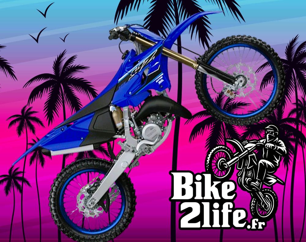Pour > YZ 125 / 250 - 2015 > 2021
